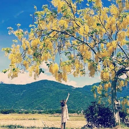 Pu Shi Homestay Yuli Exteriér fotografie