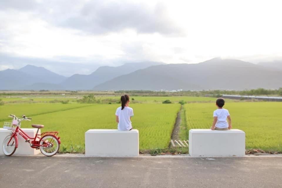 Pu Shi Homestay Yuli Exteriér fotografie