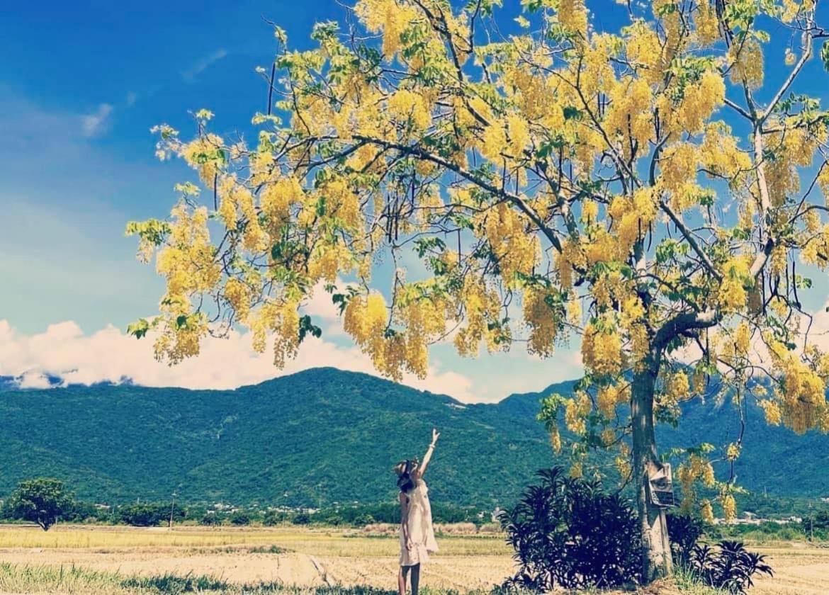 Pu Shi Homestay Yuli Exteriér fotografie