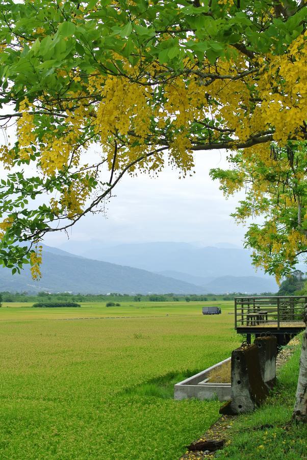Pu Shi Homestay Yuli Exteriér fotografie