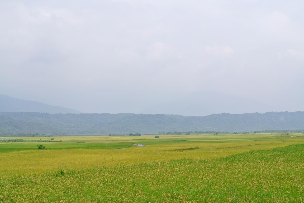 Pu Shi Homestay Yuli Exteriér fotografie